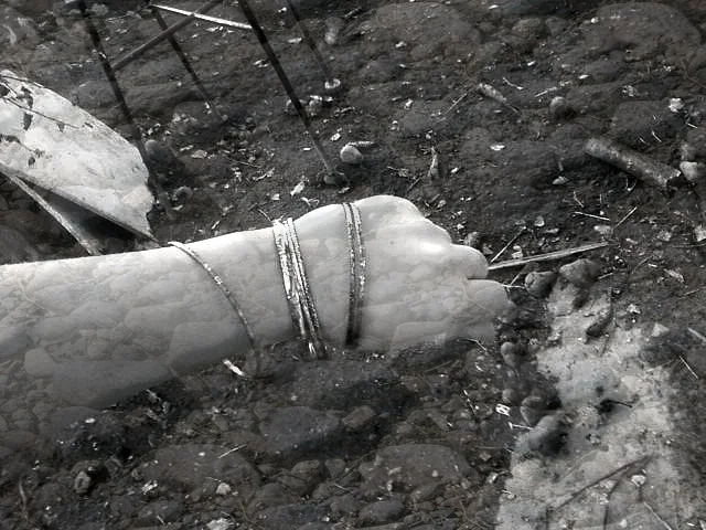 Zdjęcie z galerii